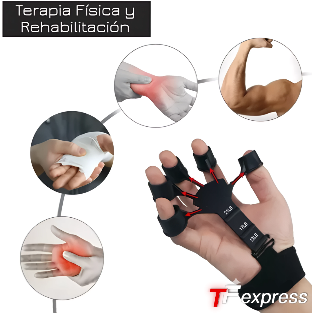 Entrenador de Antebrazo Winner